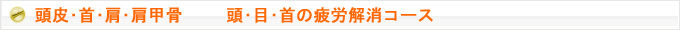 頭皮･首･肩･肩甲骨　　 頭･目･首の疲労解消コース