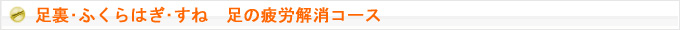 足裏･ふくらはぎ･すね　足の疲労解消コース