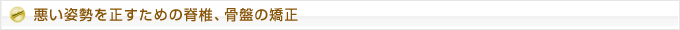 悪い姿勢を正すための脊椎、骨盤の矯正 